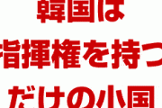 米国「韓国は日本より小さい国。戦時指揮権を持っただけで調子に乗るな。GSOMIA破棄で損するのは韓国だけ」　終わったな…