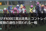 ラジオNIKKEI賞出走馬とコントレイル産駒の適性が問われる一戦