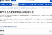 布マスクの配布が東京都以外の46道府県で「準備中」　