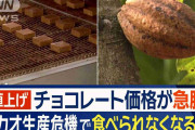 チョコレート食べられなくなる？　カカオ生産危機で価格急騰　「ぜいたく品に」指摘も