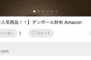 【悲報】メルカリ民さん、段ボールで財布を作り売ってしまう