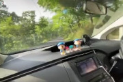 【動画】めっちゃヤバい運転のプリウスが発見されるｗｗｗｗｗｗｗｗｗｗｗ