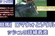【YouTube競馬】ロマンチックウォリアーとソウルラッシュの詳細着差wwwww