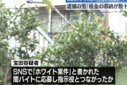 闇バイトの容疑者、「ホワイト案件」に釣られて応募し身分証を渡していた