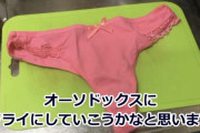 【画像】女性用パンティーを揚げて食す変態Youtuber爆誕www