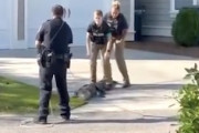 住宅街に現れた大きなワニを巧みに捕らえるアメリカの警官たちがすごい動画。