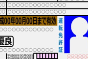 有給取って免許更新行ったら、追い返されたんやが