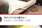 【朗報】ワイニート、YouTuberになることを決意ｗｗｗｗｗｗｗｗｗｗｗｗｗｗｗｗｗｗｗｗ