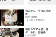 【Youtube】芸能事務所、ついに連合を組んでガーシー潰しに動き出す