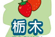 【疑問】言うほど『栃木県』に魅力ないか？ｗｗｗｗｗｗ