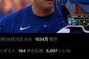 【動画】大谷翔平さんの捕手に対する恫喝、大ごとになるwww