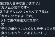 【元乃木坂46】樋口日奈、衝撃の告白『子供の頃小さいカメムシをチョコと間違えて食べちゃったことあるんです~』www