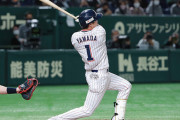 昨日の山田のホームランでヤクルトの勝利を確信した奴