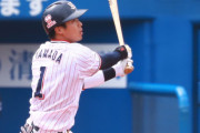 山田哲人(22) .324(596-193) 29本 89打点 15盗塁 OPS.941