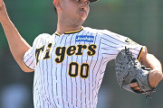 阪神２軍　ゲラが降格後初登板１回無失点１奪三振