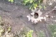 【戦争】ドローン投下爆弾が地雷を誘爆してロシア兵に大ダメージを与える空撮映像。