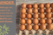 米国で卵が高騰、麻薬密売業者が卵の密輸を開始する事態に（海外の反応）