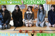 【動画】《OCHA NORMALプロジェクト》第三弾 OCHA NORMA ✕ 常滑焼の急須
