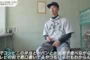 プロ野球選手「批判してる奴なんてどうせコンビニ弁当とか食ってそうだし効かないですw」
