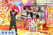 【朗報】 南原清隆さん、ただ立っているだけで次々に大物芸能人を倒していくｗｗｗｗｗ