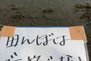 【画像】農家を苦しめるマナーの悪い人、田んぼ前にあった2枚の貼り紙がヤバすぎる・・・