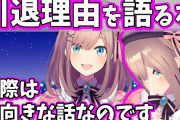 Vtuber にじさんじ サインカード約150枚セットがメルカリにて出品される←これだけ熱心なファンでも箱推しをやめちゃうときがあるんだな…