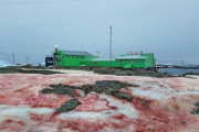 【画像】凄惨な事件現場…？南極基地で雪が血のように真っ赤に染まってしまう