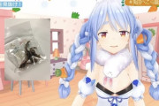 Vtuber 【兎田ぺこら】ぺこらは不遇だいじめられてるって聞くけど、言うほど酷いか？←明らかにいじめだろこんなん…
