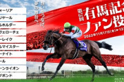 ●有馬記念の投票は済ませたか？