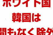 安倍首相「韓国は間もなくホワイト国から消える。あとは俺の署名だけだ」　終わったな…