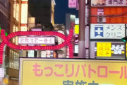 【画像】歌舞伎町、くっそ下品な街になってしまう wwwwwwwwwwww