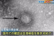 【悲報】変異種への感染、東京都内で数人確認
