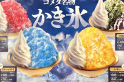 【悲報】コメダのかき氷、高すぎるｗｗｗｗｗｗｗｗｗｗｗｗｗｗ