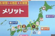 【大悲報】プロ野球16球団構想、反対してるのは「特定の年齢層」だけだった！ｗ