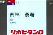 【朗報】中日ドラ5岡林勇希(18)さん、ひっそりととんでもない成績を残し続けてる模様