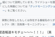 【画像】捏造報道したモーニングショーのwiki、めっちゃ荒らされるｗｗｗｗｗｗ