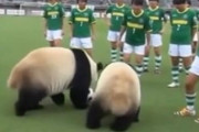 中国人「サッカー日本代表のW杯メンバーについて自由に語るスレ」　中国人「毎回進歩している」「この話題で中国代表を持ち出すのはやめてくれ」