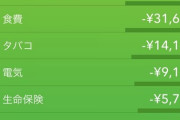 【画像あり】年収418万30歳ワオ、今月の食費が3万円を超える?
