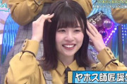 【日向坂46】各々メンバーのファンの総称を決めようｗｗｗｗｗｗｗｗｗｗ