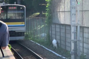 【神奈川】JR鶴見線浅野駅にヤギ２頭侵入　電車一時運行できず