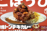 【朗報】ココイチさん、塊の豚肉を乗せてくれる「肉塊トンテキカレー」を発売へ