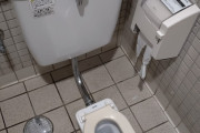 外国人「日本の公衆トイレに入ったら小さすぎるんだが(笑)」