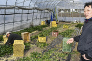 北関東の野菜農家に危機　コロナで技能実習生来日できず