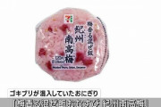 セブンイレブン「梅香る混ぜ飯おむすび　紀州南高梅」2個にゴキブリ混入　同じ店舗で販売されていた