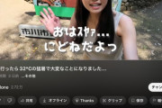【画像】最近こういう顔だけAIっぽい女性YouTuber増えたけど、コメント欄を見たらおぢ達が興奮しまくってるんだがｗｗｗｗ
