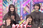 【欅坂46】メンバーが澤部さんをいじった結果wwwww