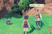 ポケモン最新作さん、とんでもない性癖モブトレーナーを実装