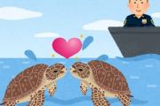 任務中のアメリカの警察「ウミガメがキスしててキャワワ（ﾊﾟｼｬ」　画像を公式Facebookに投稿し話題に