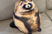 タヌキの“化ける”クッションがヤバすぎる件ｗｗｗ（画像あり）