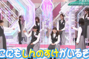 【櫻坂46】2期生のノリに巻き込まれる小林由依w